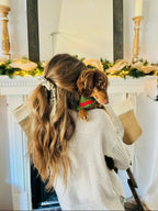 Christmas Holiday Personalized Dog Bandanas