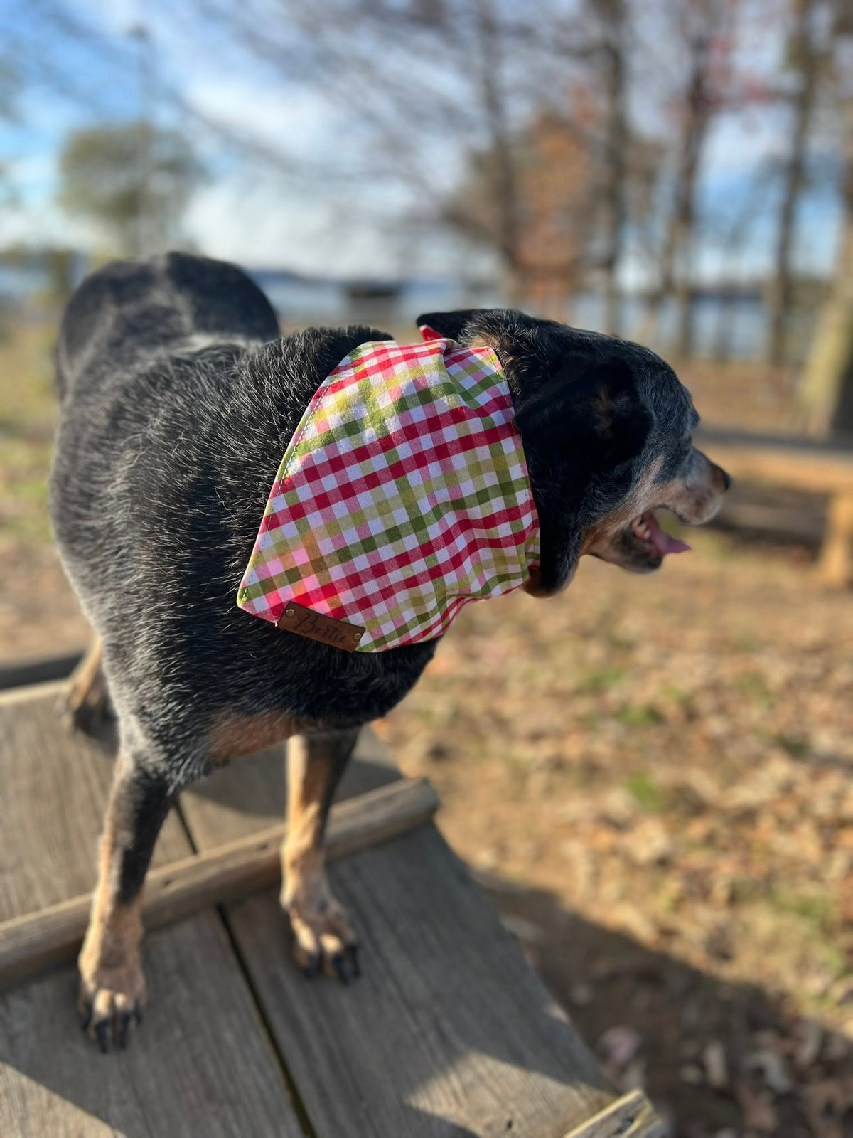 Christmas Holiday Personalized Dog Bandanas