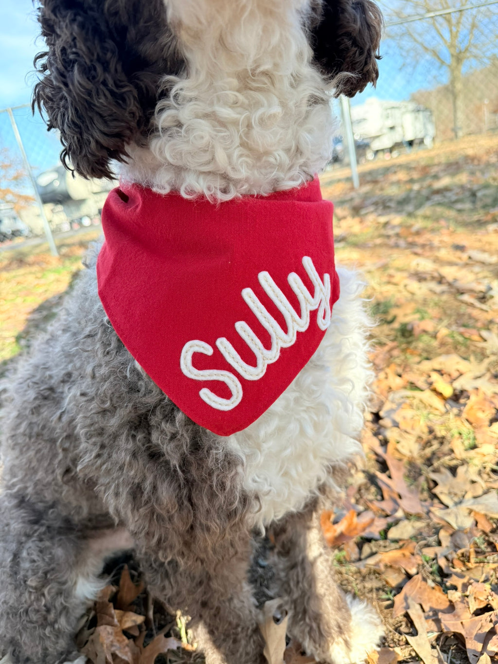 Christmas Holiday Personalized Dog Bandanas