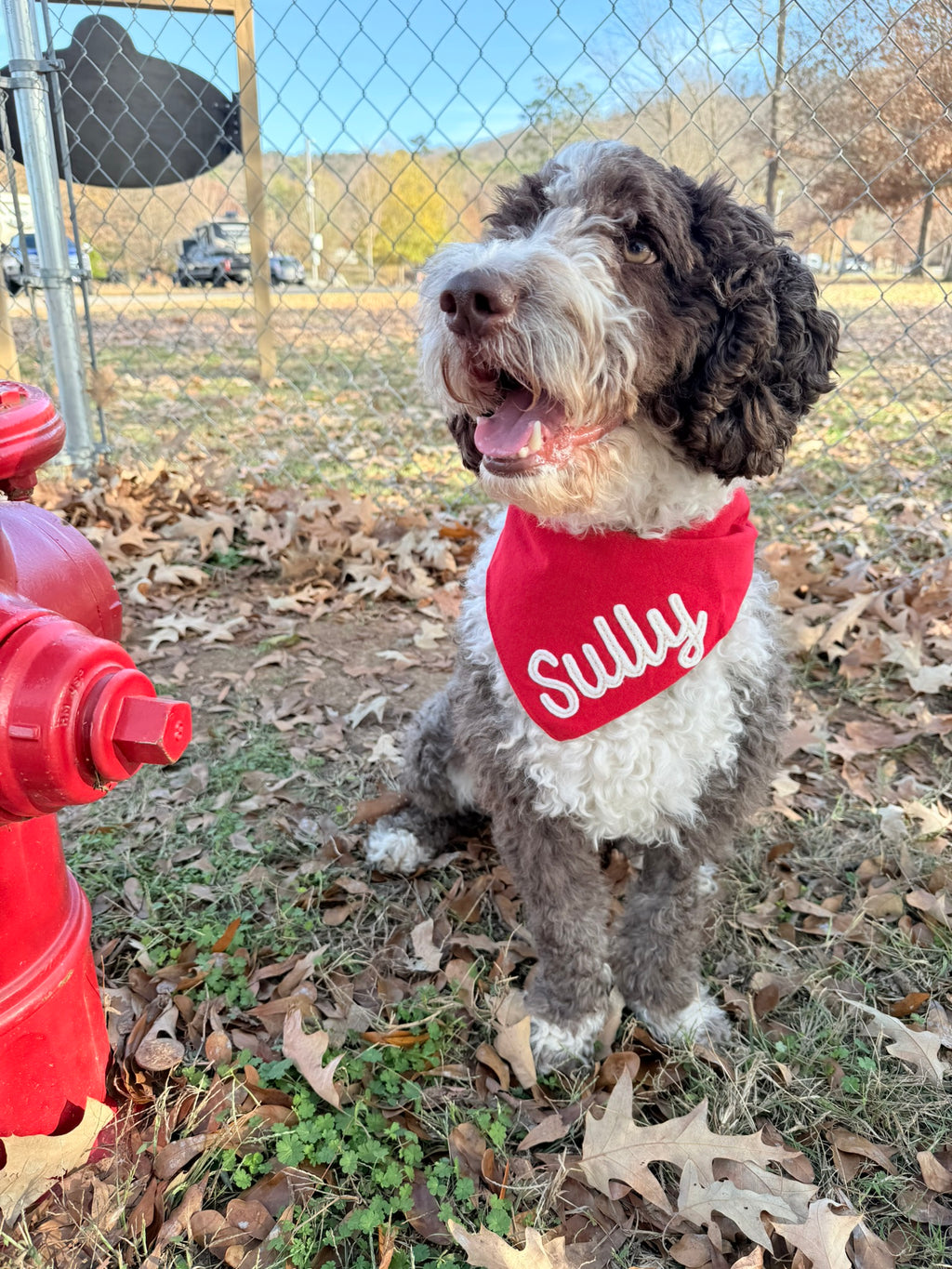 Christmas Holiday Personalized Dog Bandanas
