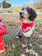 Christmas Holiday Personalized Dog Bandanas