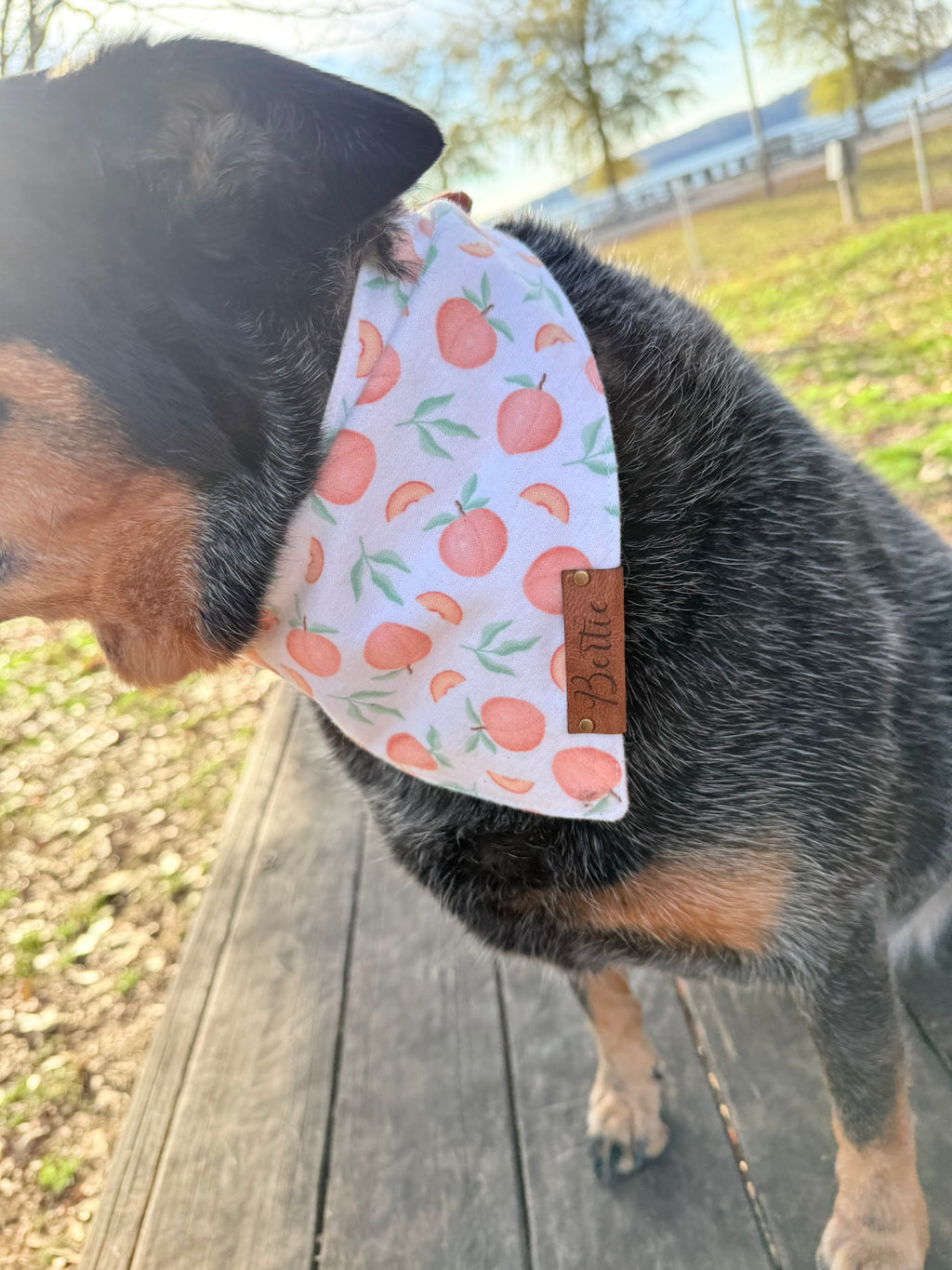 Personalized Double-Sided Dog Bandana