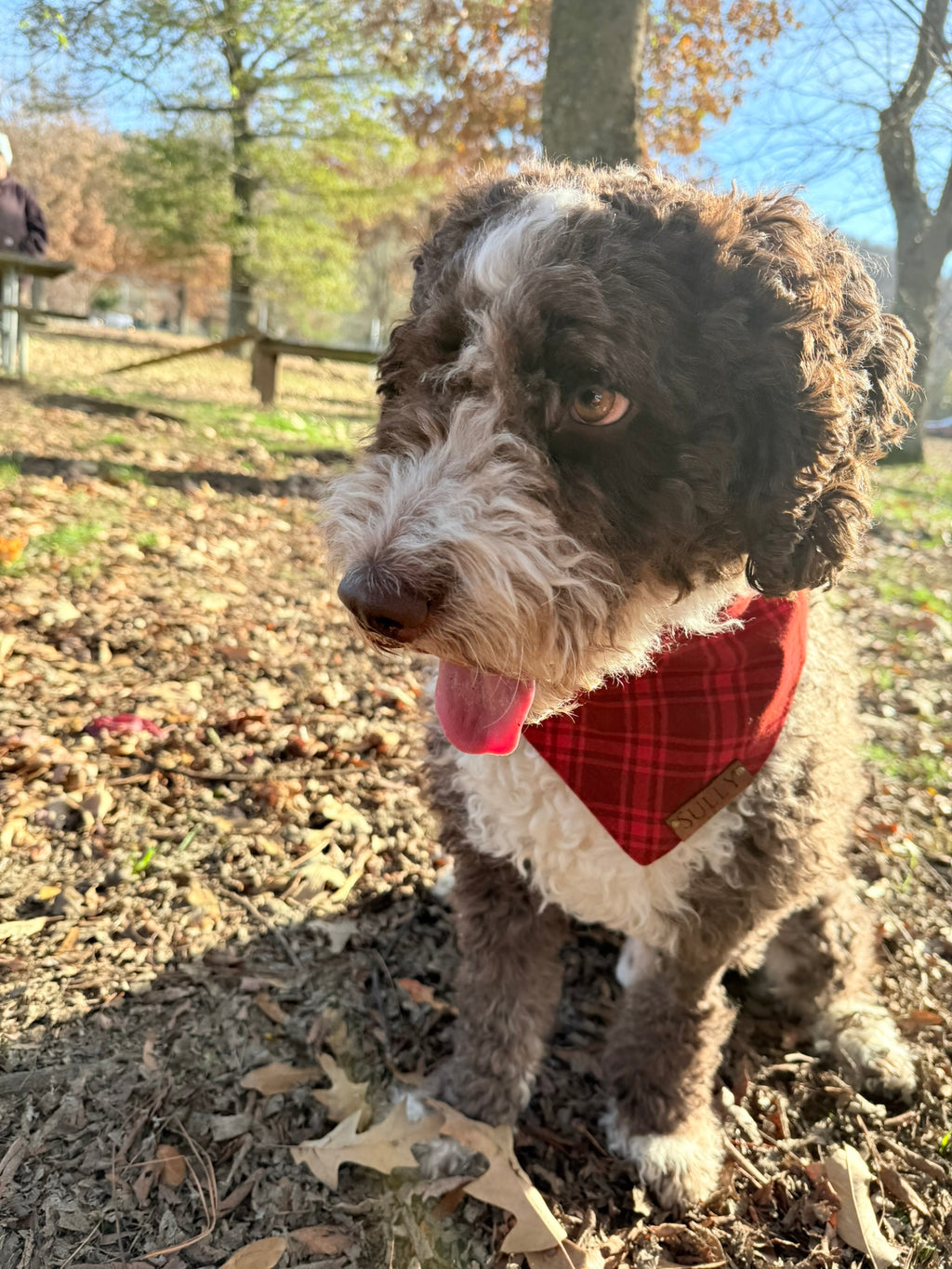 Christmas Holiday Personalized Dog Bandanas