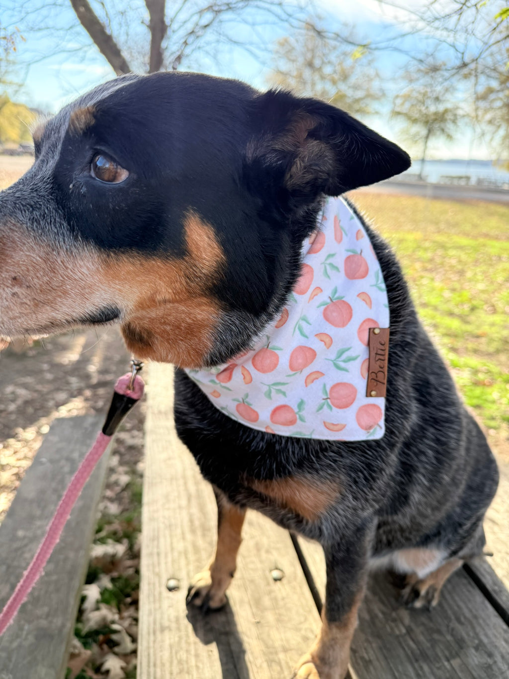 Personalized Double-Sided Dog Bandana