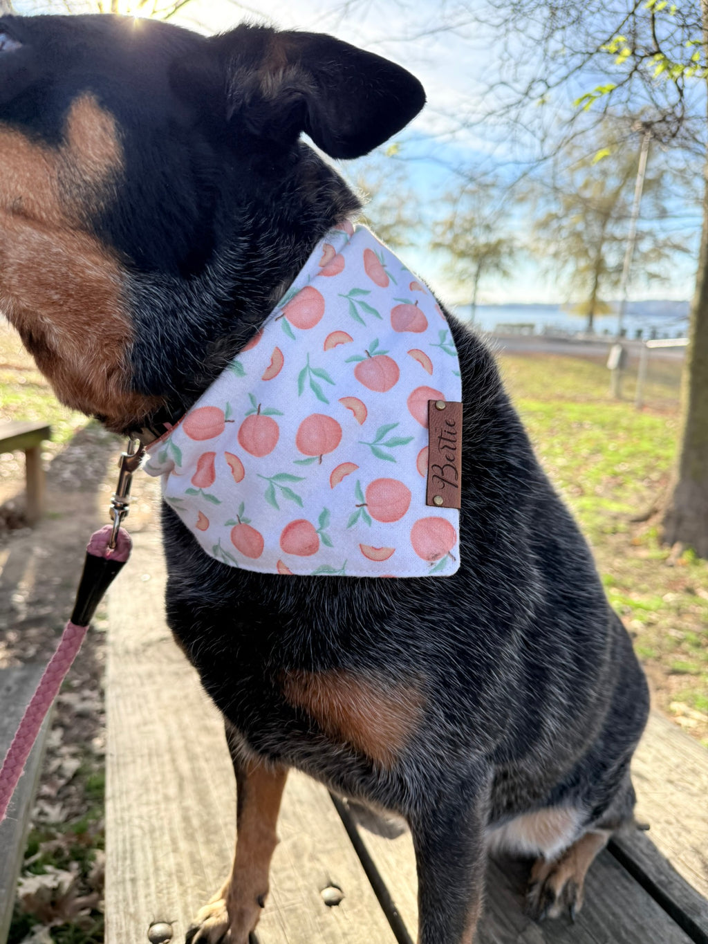 Personalized Double-Sided Dog Bandana