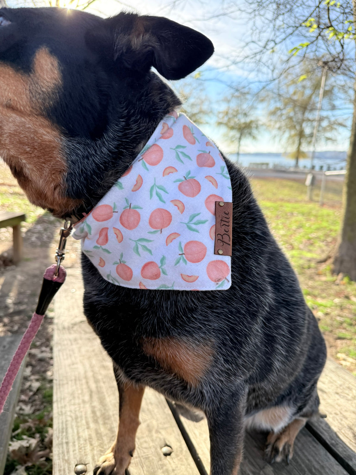 Personalized Double-Sided Dog Bandana