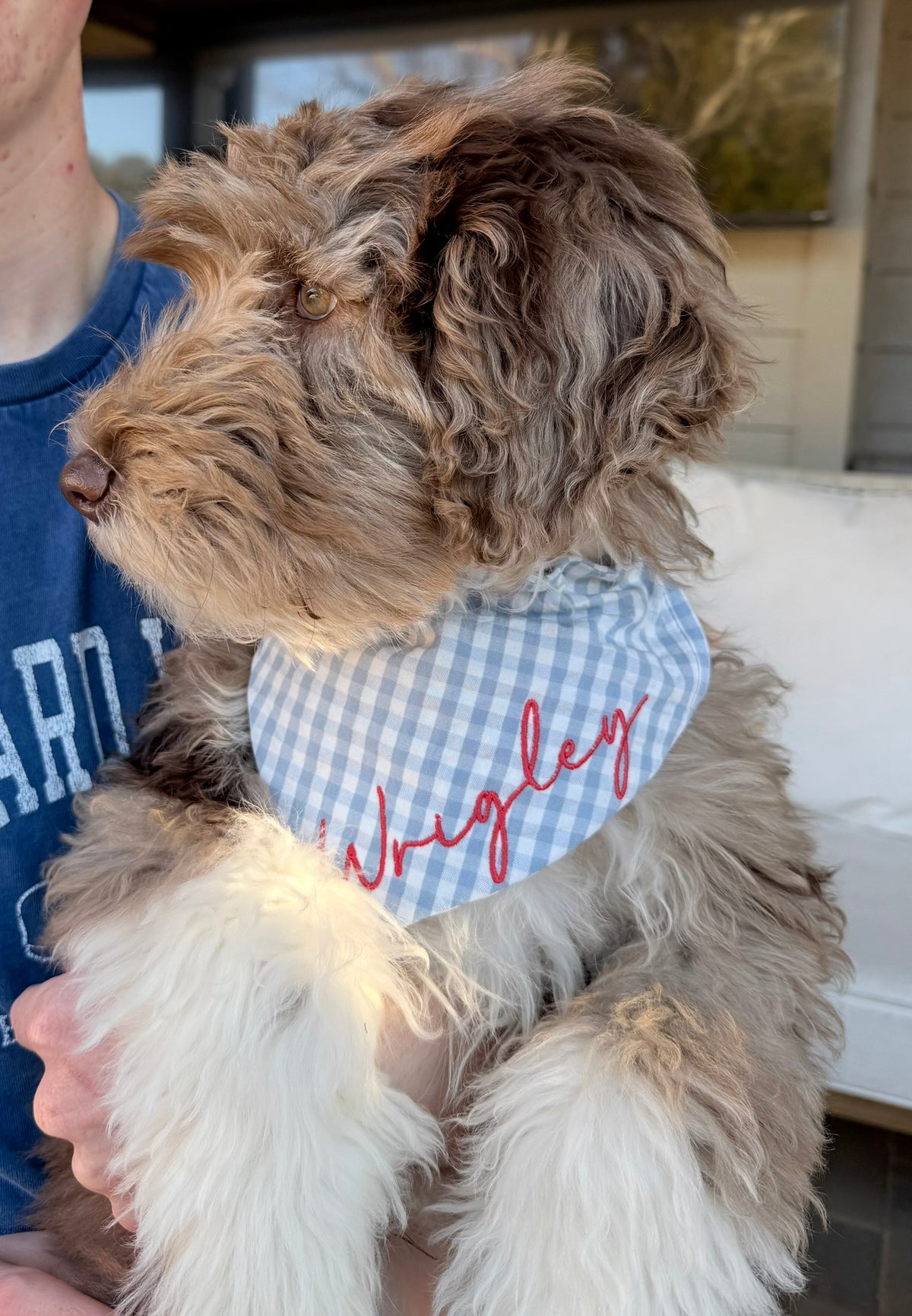 Personalized Preppy Dog Bandana