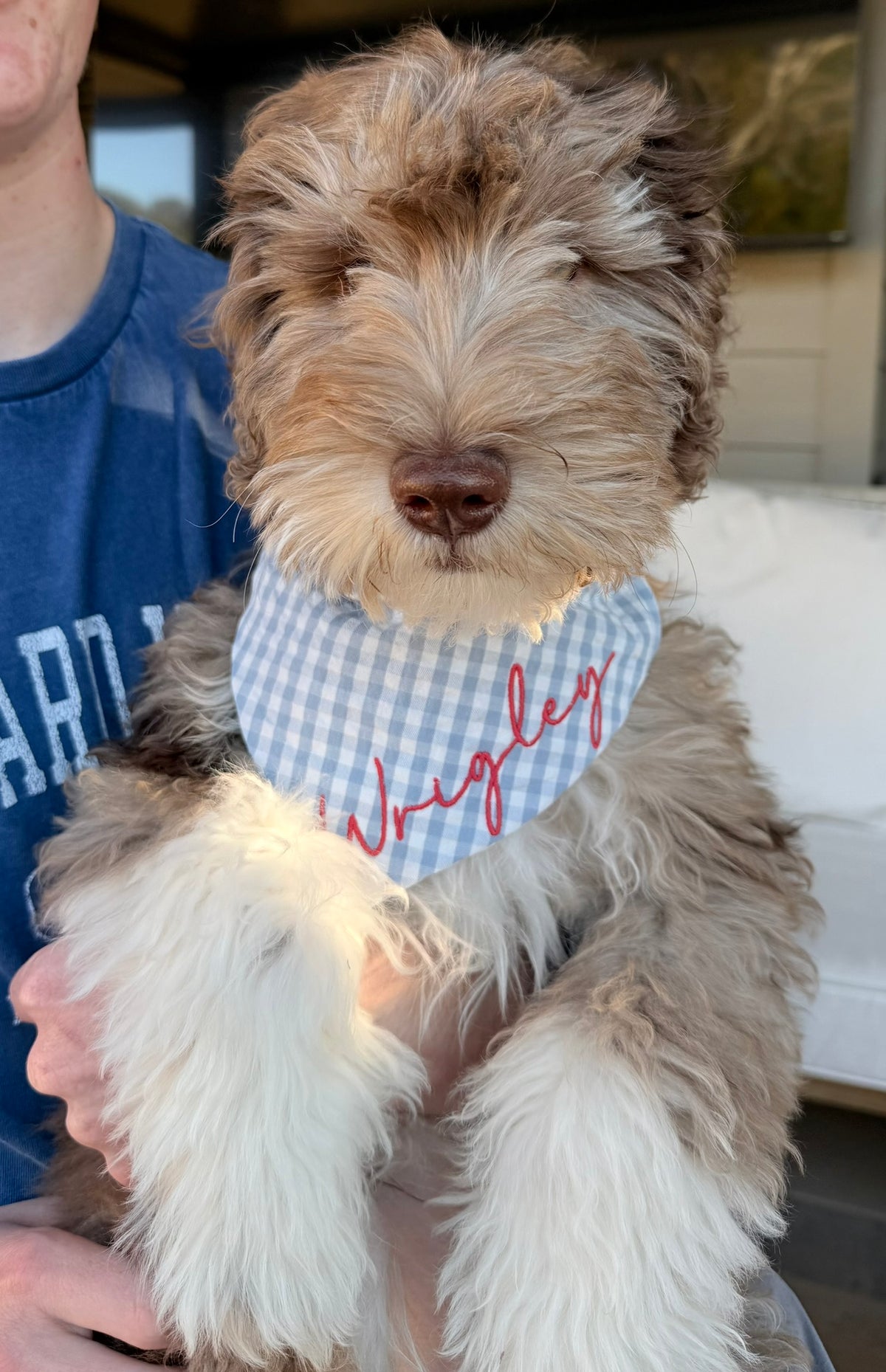 Personalized Preppy Dog Bandana