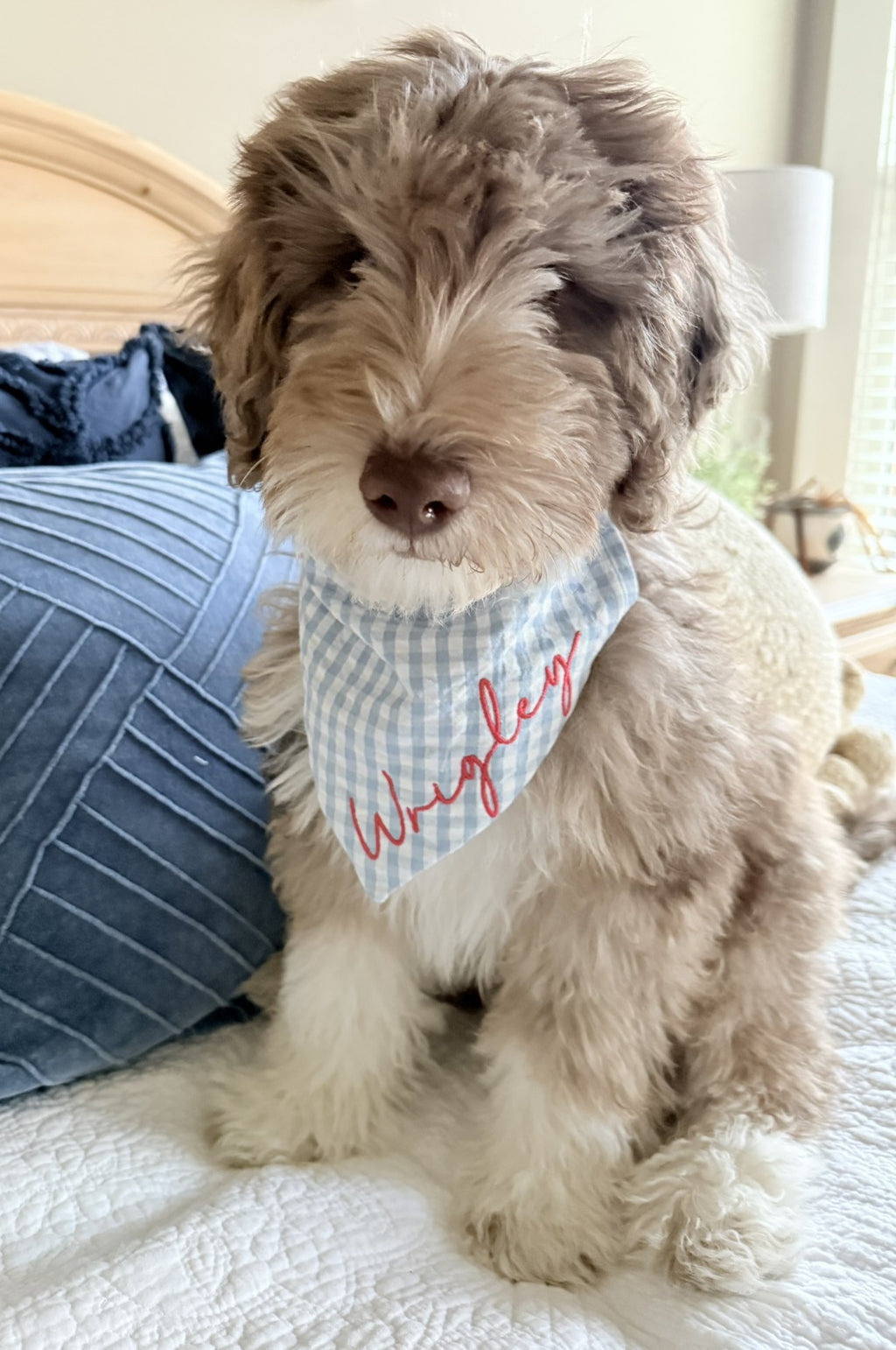 Personalized Preppy Dog Bandana
